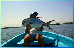 Permit