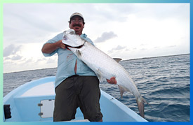 tarpon fishing